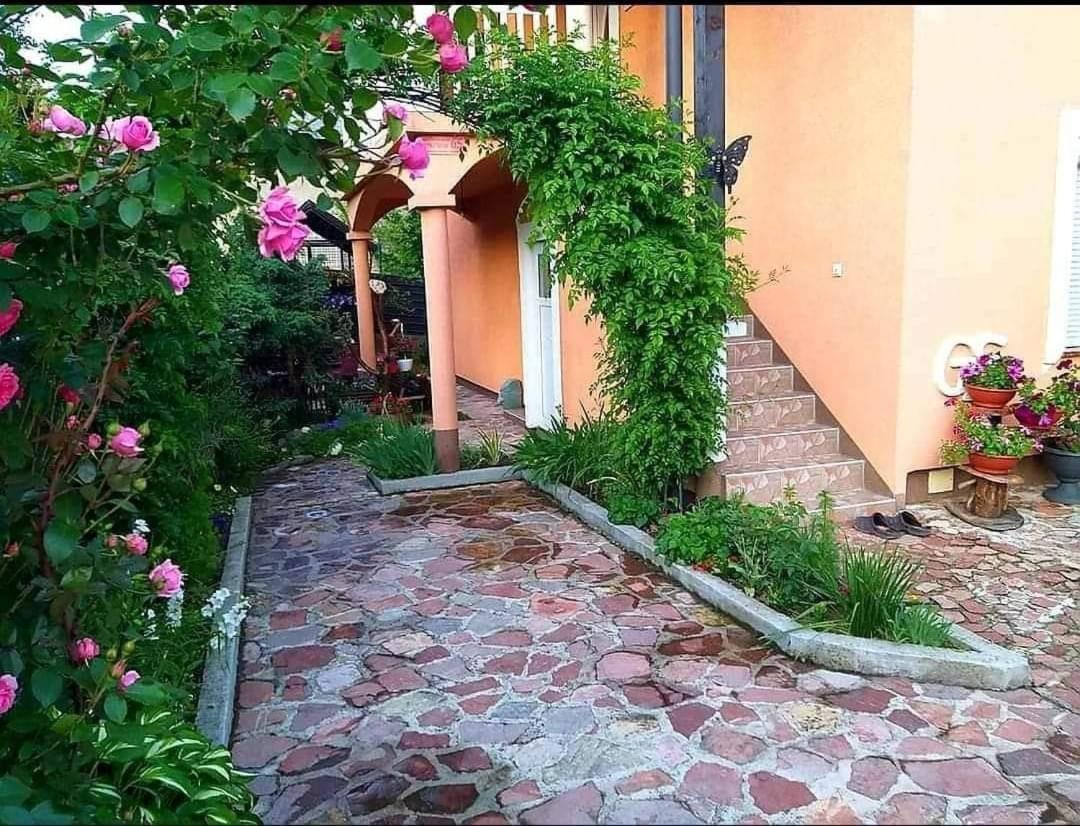 Apartmani Gs ***** Zavidovici Exterior photo